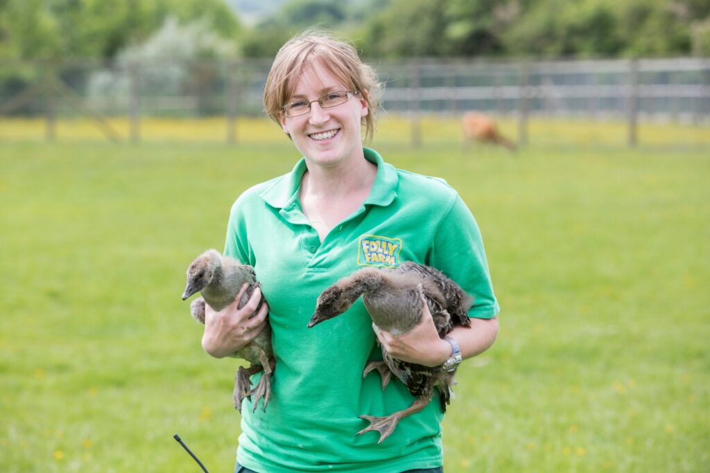 Geese – Fiercely Protective Partners