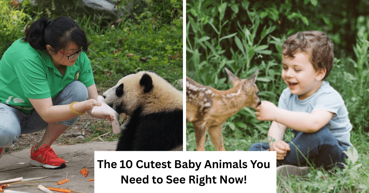 The 10 Cutest Baby Animals You Need to See Right Now!