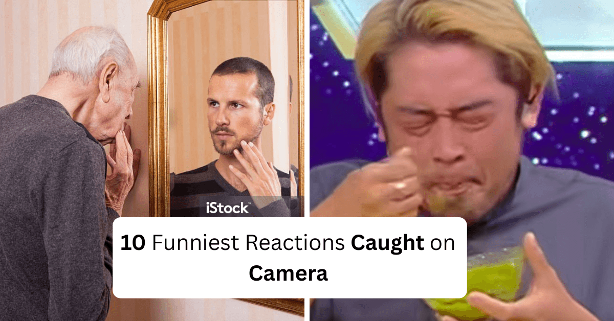 10 Funniest Reactions Caught on Camera