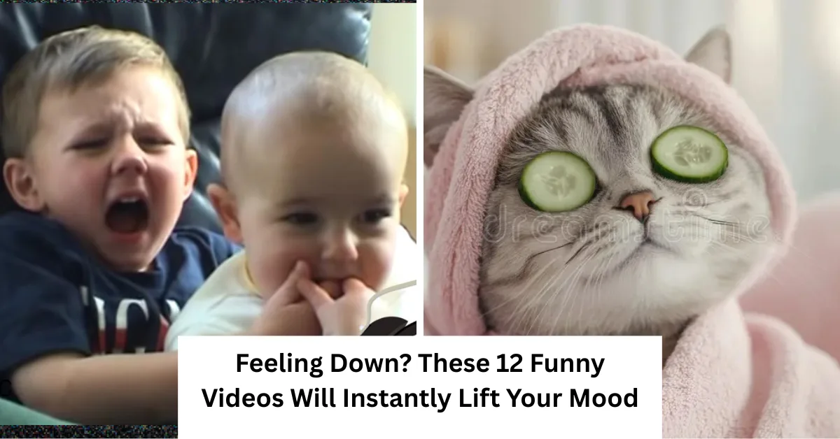 Feeling Down? These12 Funny Videos Will Instantly Lift Your Mood