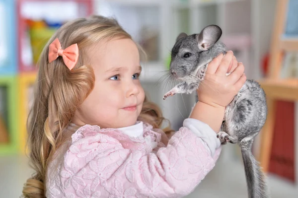 Baby Chinchillas – Soft as Cotton