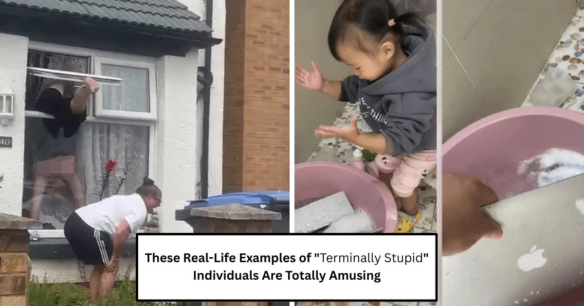 These Real Life Examples of Terminally Stupid Individuals Are Totally Amusing