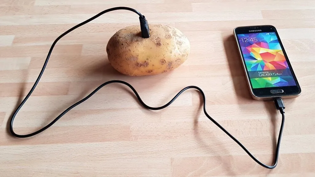 The Girl Who Tried to Charge Her Phone Using a Potato