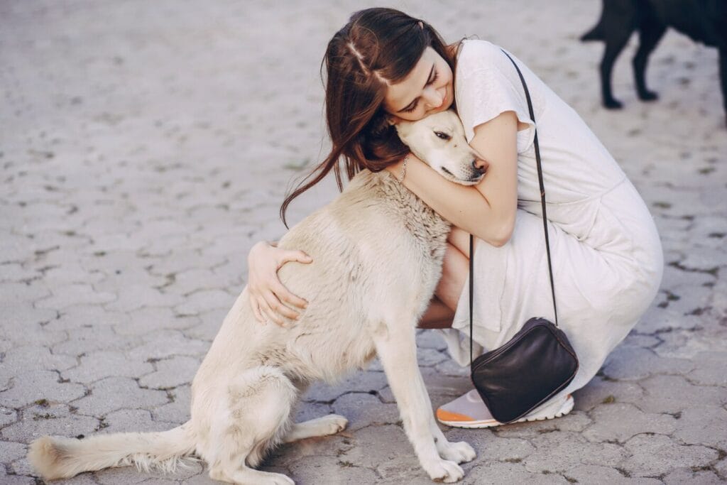 The Therapy Dog That Gave Free Hugs to Stressed Travelers