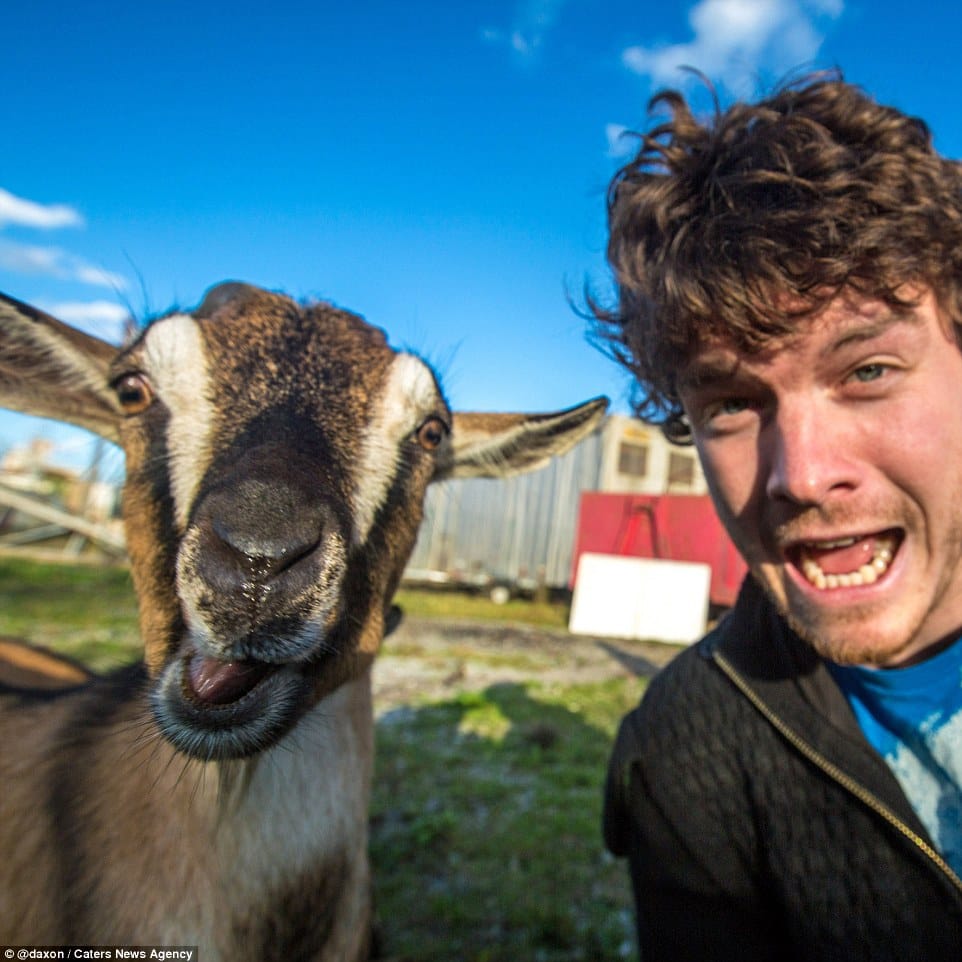 The Baby Goat Attack