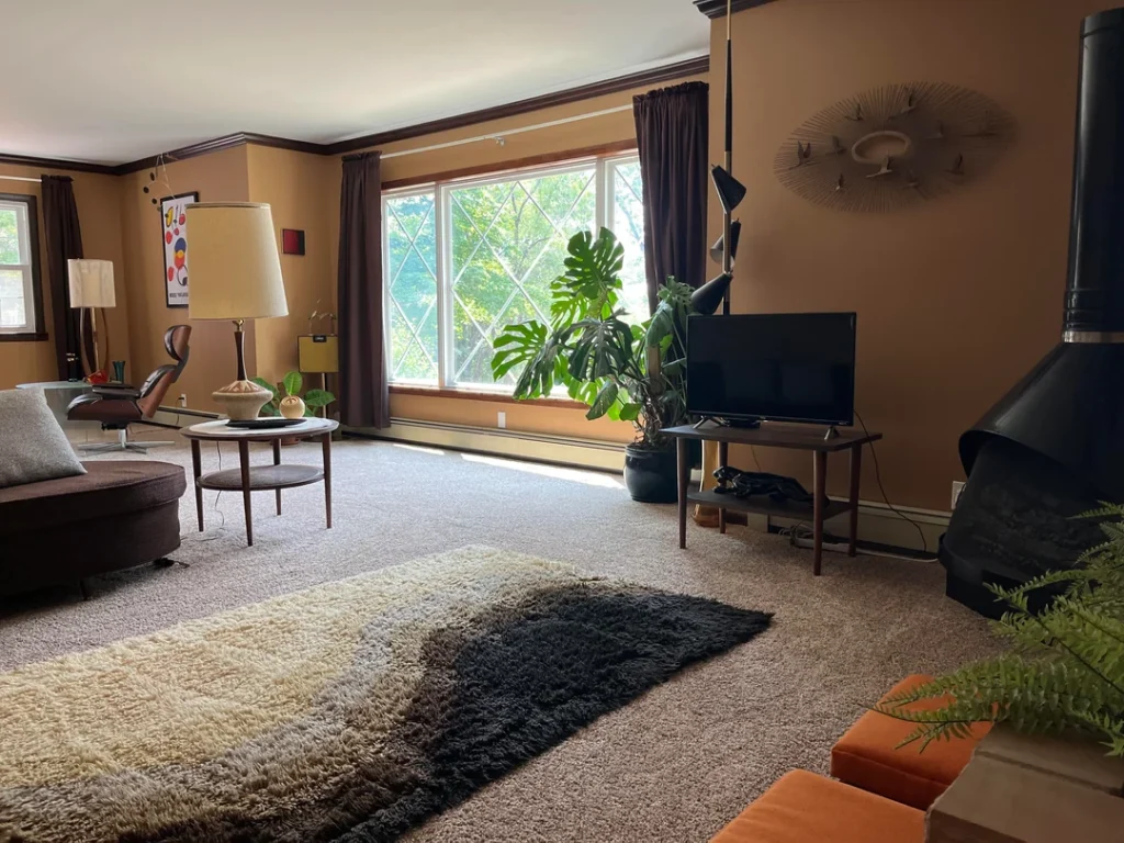 Shag Rugs Should Stay in the 70s