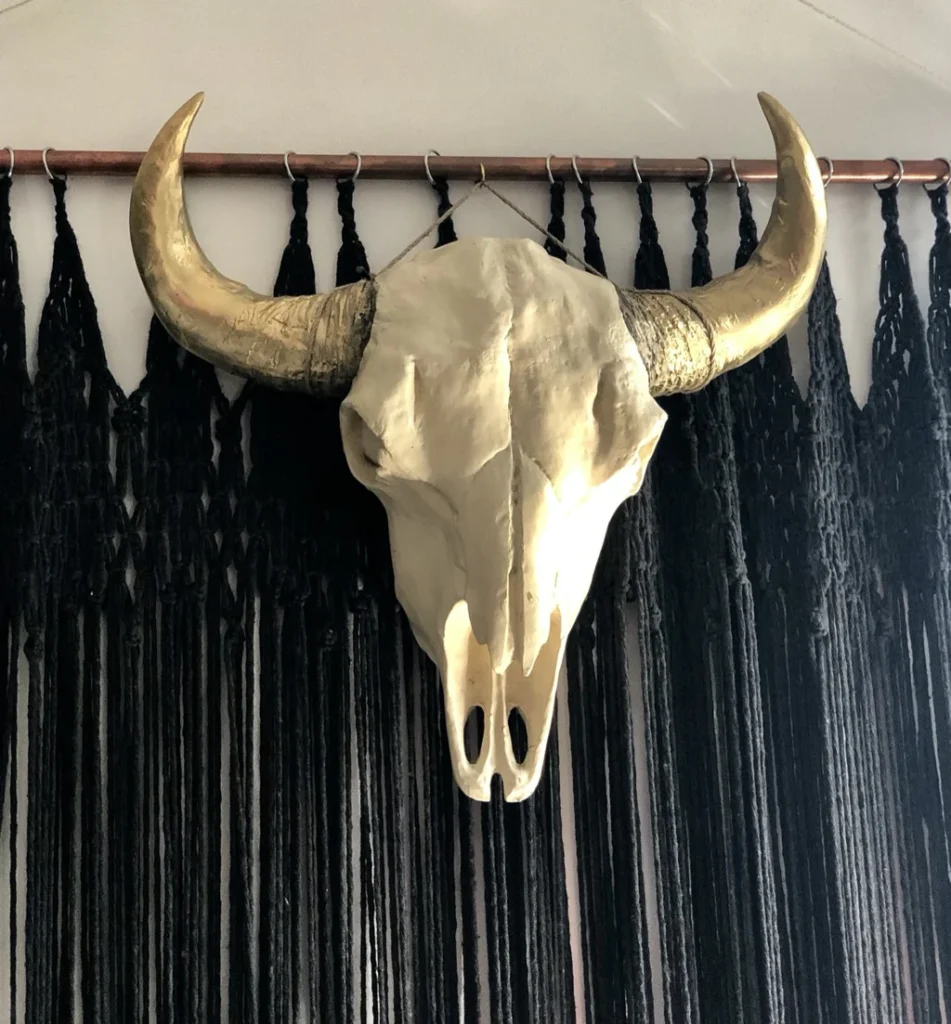 Skulls of animals don't make the most attractive décor pieces