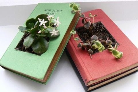 Worn-Out Book Planters