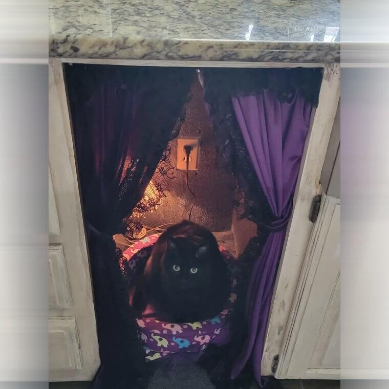 A DIY cat bed made from a side table, with tension rod and curtains creating a cozy, enclosed space for a cat to rest.