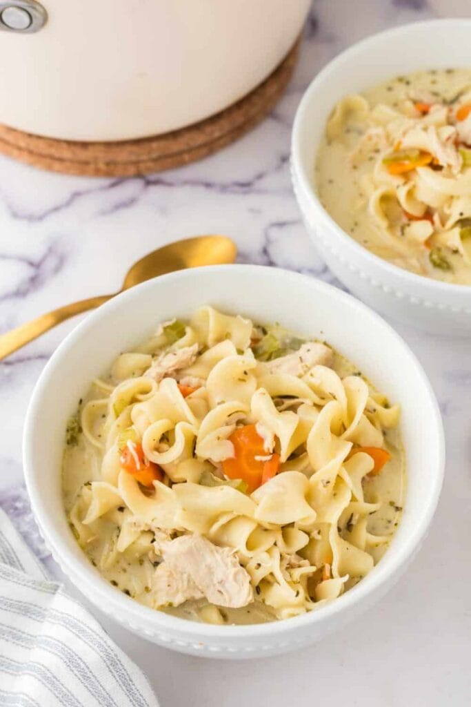 Bowl of chicken noodle soup with shredded chicken, carrots, and egg noodles, garnished with fresh parsley.