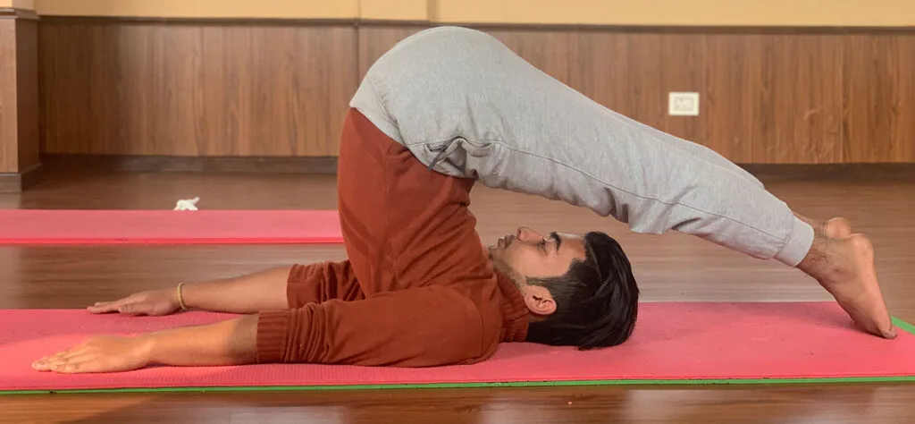 “Plow pose yoga position for skin detox and hormonal balance.”
