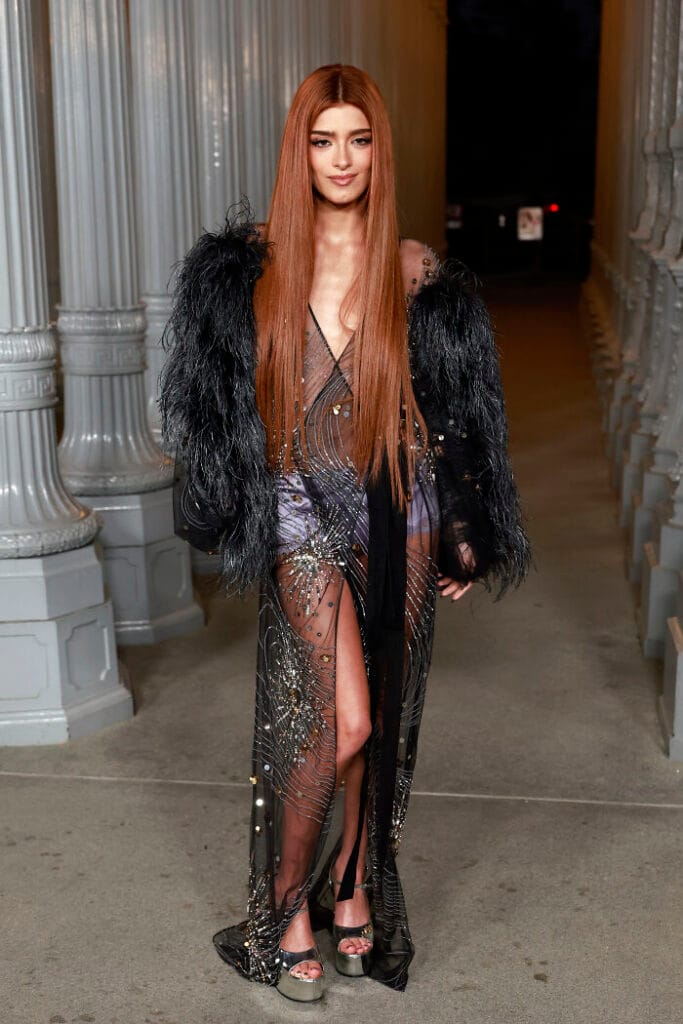 D’Amelio rocks a sheer black Gucci gown with feathered sleeves and platform heels at the 2025 LACMA Gala.