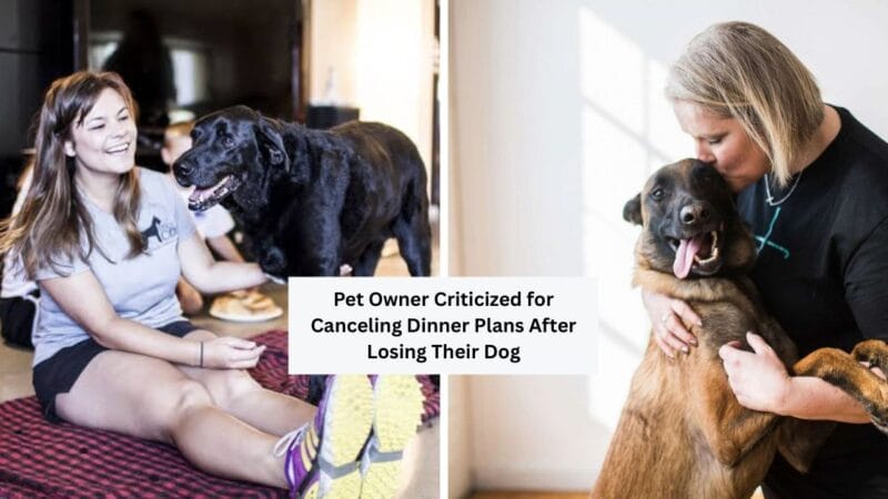 Pet Owner Criticized for Canceling Dinner Plans After Losing Their Dog