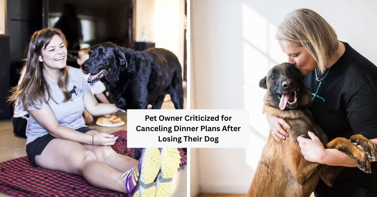 Pet Owner Criticized for Canceling Dinner Plans After Losing Their Dog