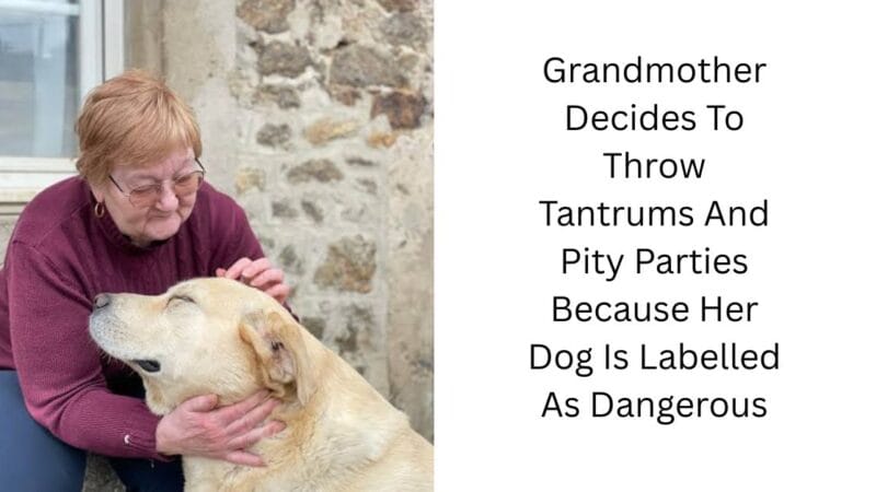 Grandmother Decides To Throw Tantrums And Pity Parties Because Her Dog Is Labelled As Dangerous