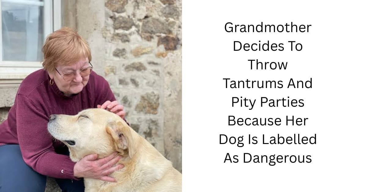 Grandmother Decides To Throw Tantrums And Pity Parties Because Her Dog Is Labelled As Dangerous