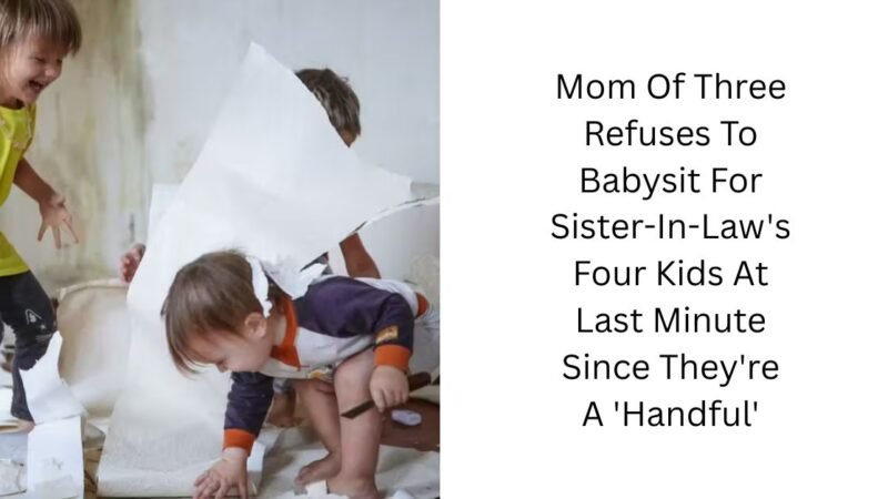 Mom Of Three Refuses To Babysit For Sister-In-Law’s Four Kids At Last Minute Since They’re A ‘Handful’