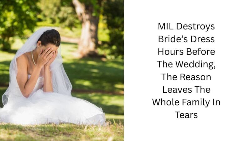 MIL Destroys Bride’s Dress Hours Before The Wedding, The Reason Leaves The Whole Family In Tears