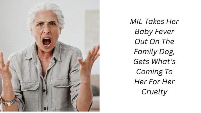 MIL Takes Her Baby Fever Out On The Family Dog, Gets What’s Coming To Her For Her Cruelty
