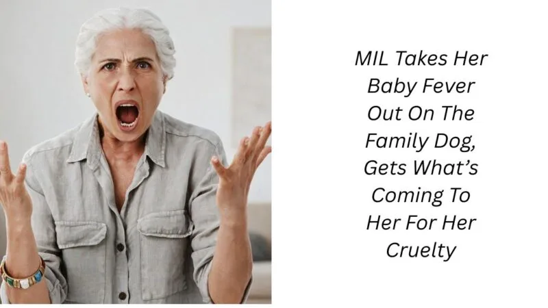 MIL Takes Her Baby Fever Out On The Family Dog, Gets What’s Coming To Her For Her Cruelty