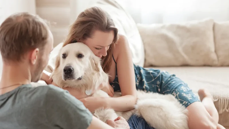 Redditor Considering Divorce After Spouse Issues ‘It’s Me Or The Dog’ Ultimatum