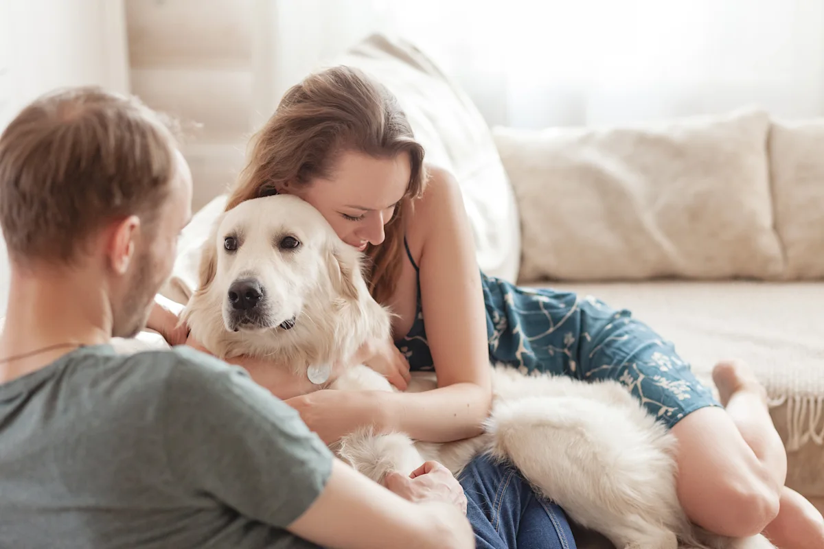 Redditor Considering Divorce After Spouse Issues ‘It’s Me Or The Dog’ Ultimatum