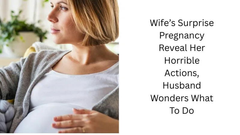 Wife’s Surprise Pregnancy Reveal Her Horrible Actions, Husband Wonders What To Do
