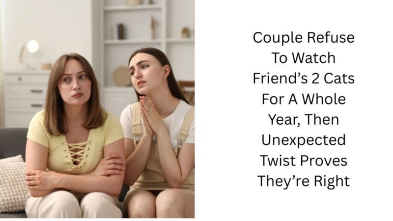 Couple Refuse To Watch Friend’s 2 Cats For A Whole Year, Then Unexpected Twist Proves They’re Right