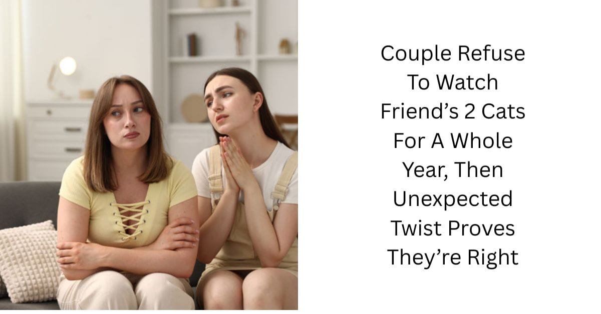 Couple Refuse To Watch Friend’s 2 Cats For A Whole Year, Then Unexpected Twist Proves They’re Right