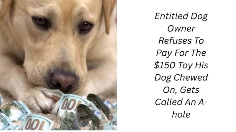 Entitled Dog Owner Refuses To Pay For The $150 Toy His Dog Chewed On, Gets Called An A-hole