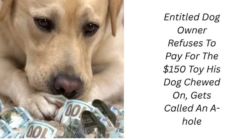 Entitled Dog Owner Refuses To Pay For The $150 Toy His Dog Chewed On, Gets Called An A-hole
