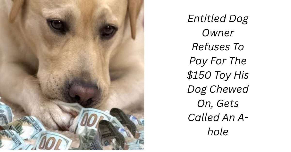 Entitled Dog Owner Refuses To Pay For The $150 Toy His Dog Chewed On, Gets Called An A-hole