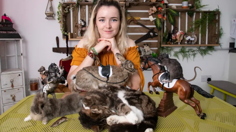 Woman Snaps At Taxidermy-Loving Roommate Who Keeps Putting Dead Animals In Shared Fridge