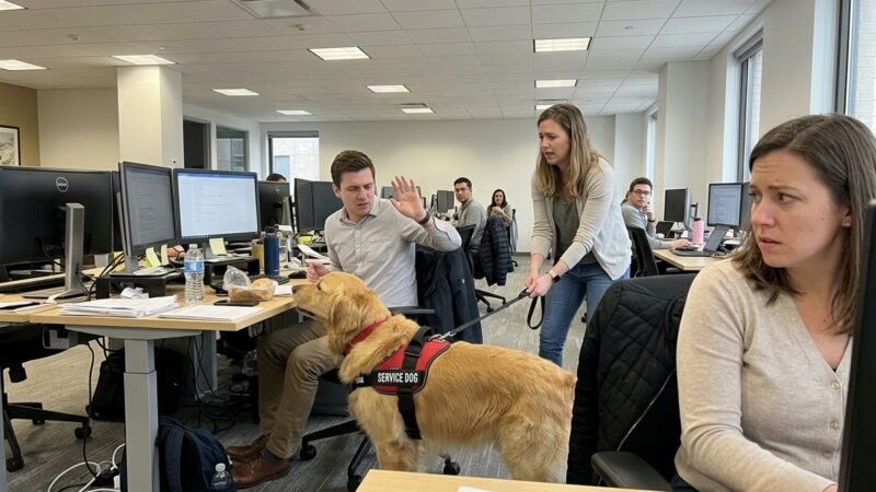 WIBTAH for Telling My Manager About Problems With a Coworker’s Service Dog?